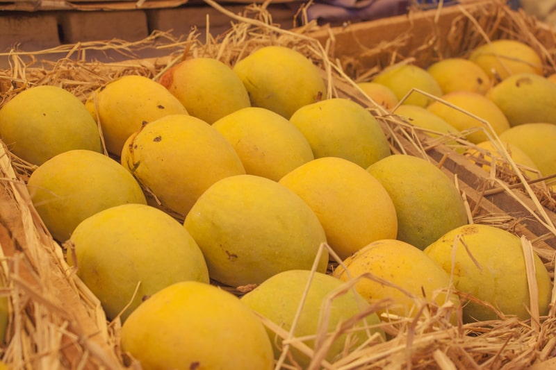 Indian alphonso mangoes