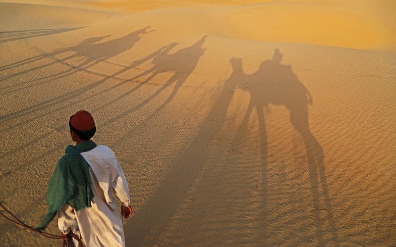 Shadow of camels in Thar Desert, near Jaiselmer, India. Facts About India