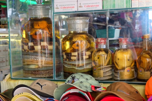 Ho Chi Minh, Vietnam- Circa January, 2020 A picture of snake wine sell at the shop. 