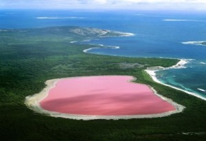 Pink Lake Aaustralia