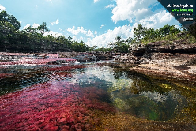 Caño Cristales, Colombia. The river that changes color.