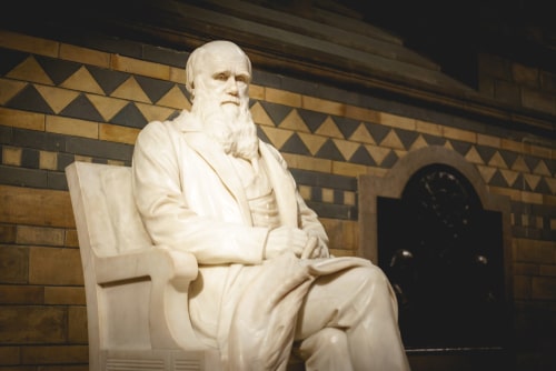 Charles Darwin's statue in the main hall of the Natural History Museum in South Kensington.