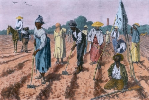 slaves working on a farm