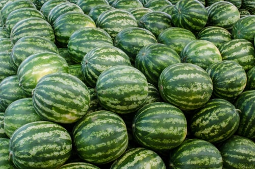 Watermelons for sale at the Panama's Wholesale Food Market.