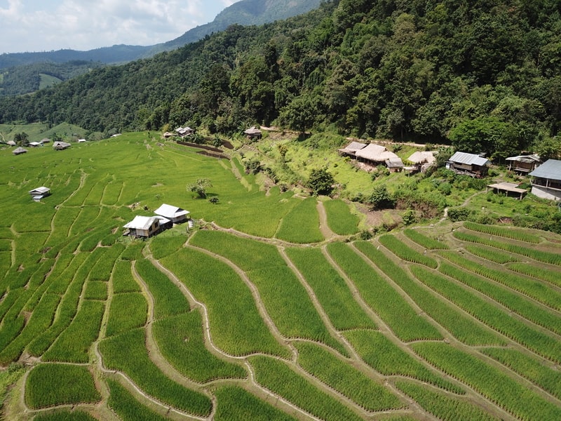  Rice Terraces of the Philippine Cordilleras