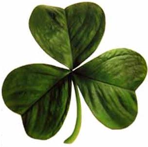 A shamrock. the fact file