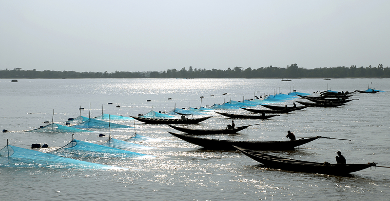 Fishing boats with nets on the Pashur River between the Sundarban Forest and Khulna in southern Bangladesh.