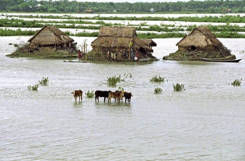 Bangladesh village on Rangabali Island in the Bay, gulf of Bengal.