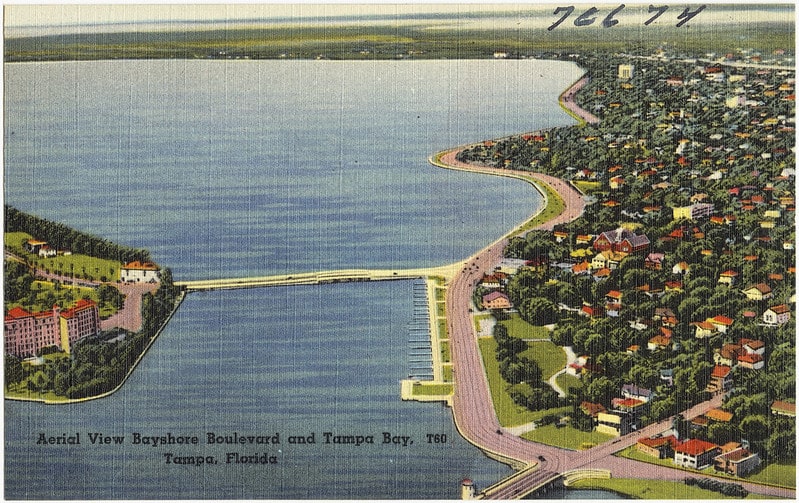 Aerial view Bayshore Boulevard and Tampa Bay, Tampa, Florida. Interesting facts about Florida.