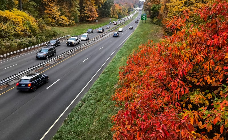 Autumn colors around Merritt Parkway in Connecticut