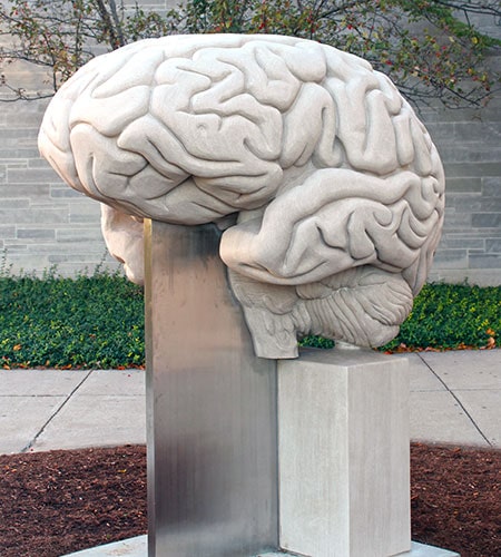 brains sculptor