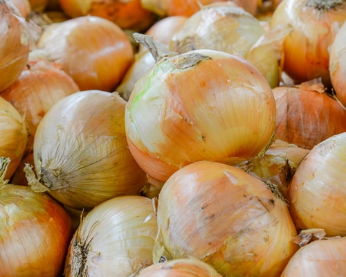 organically grown vidalia sweet onion