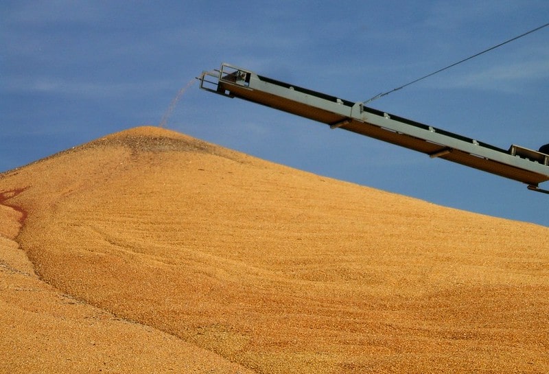 corn harvest in Nebraska