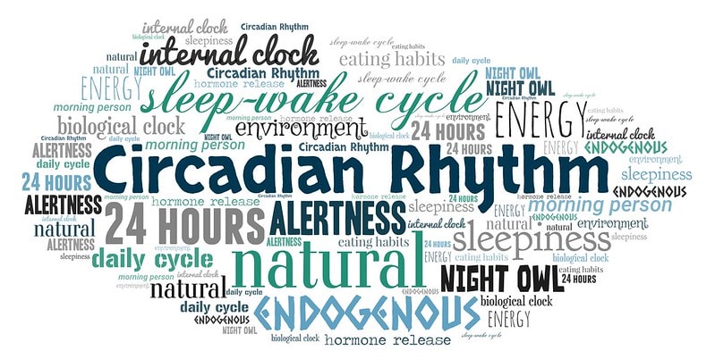 A word cloud featuring "Circadian Rhythm". interesting facts about basketball