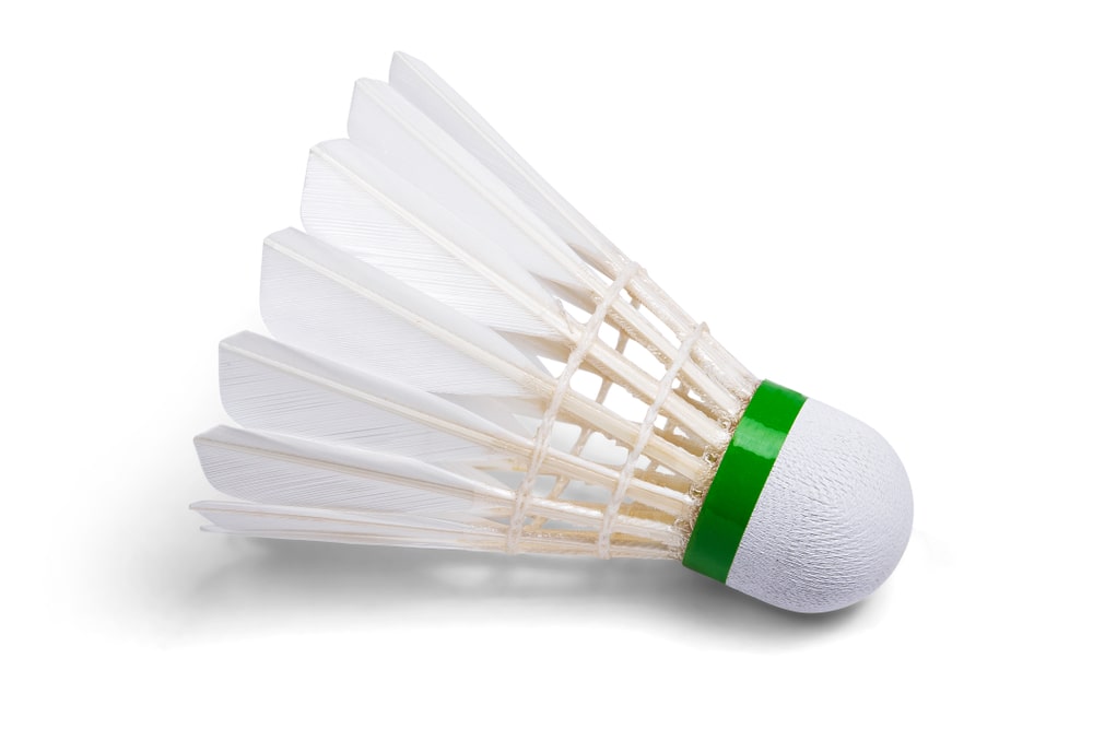 a white feather badminton shuttlecock. facts about badminton.
