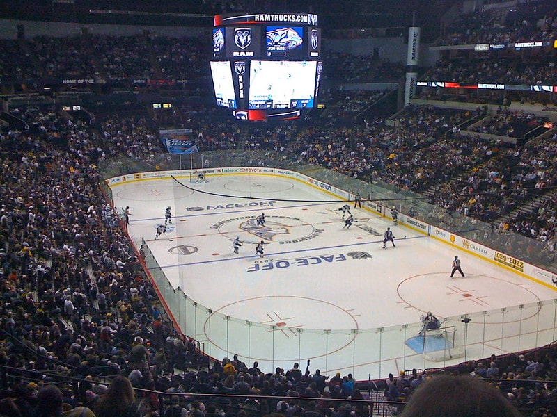 Nashville Predators vs. St. Louis Blues. facts about ice hockey 