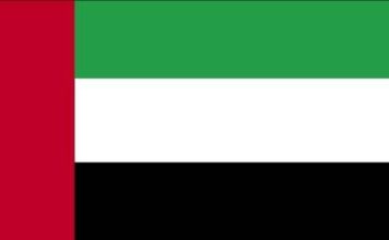 the UAE flag
