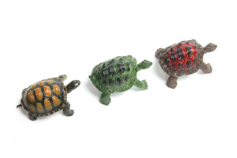 Line of Miniature Tortoises