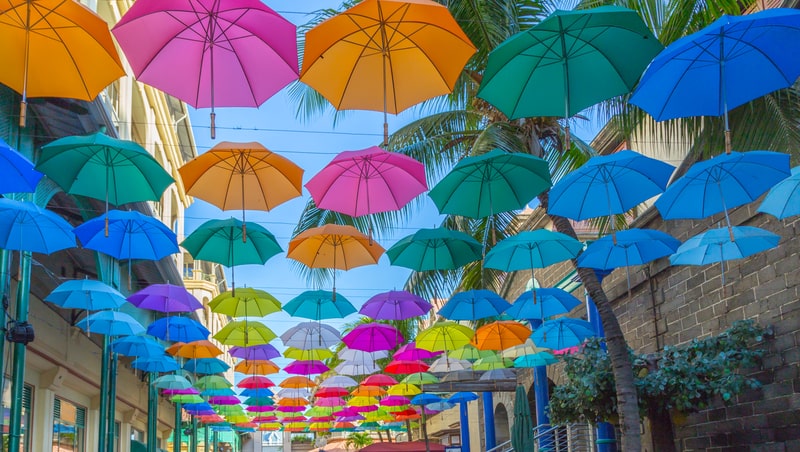 umbrellas, facts about Maryland