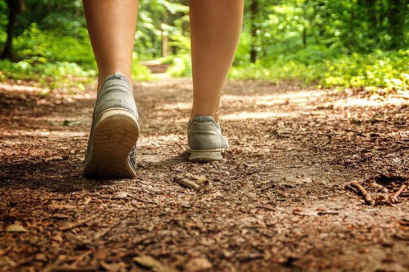Walking for forest bathing