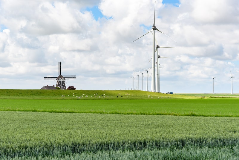Wind farm in the countryside of the Netherland. facts about windmills