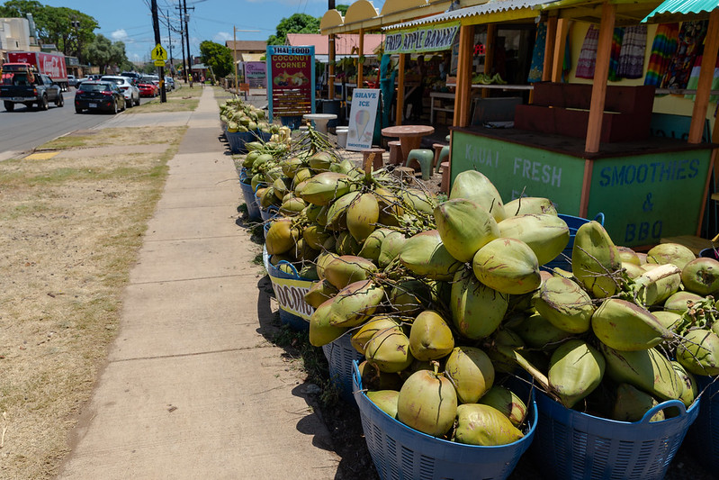 coconuts in Hawaii. Hawaii fact file