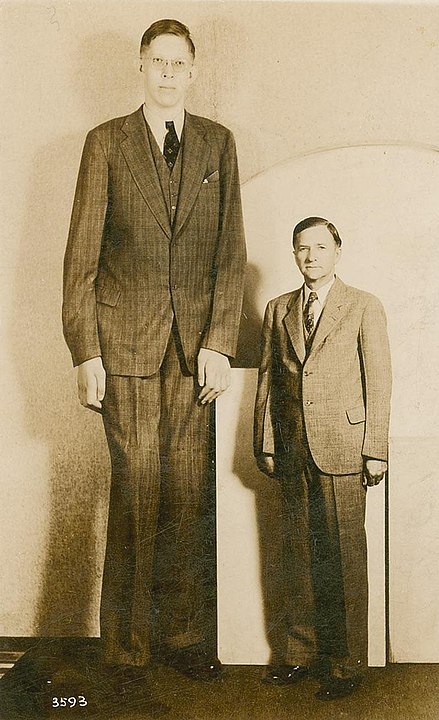 Front of postcard of Robert Wadlow (left) with his average-size father (right).